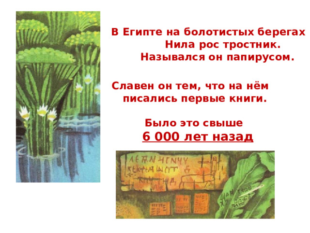 В Египте на болотистых берегах  Нила рос тростник.  Назывался он папирусом.  Славен он тем, что на нём  писались первые книги.  Было это свыше  6 000 лет назад  