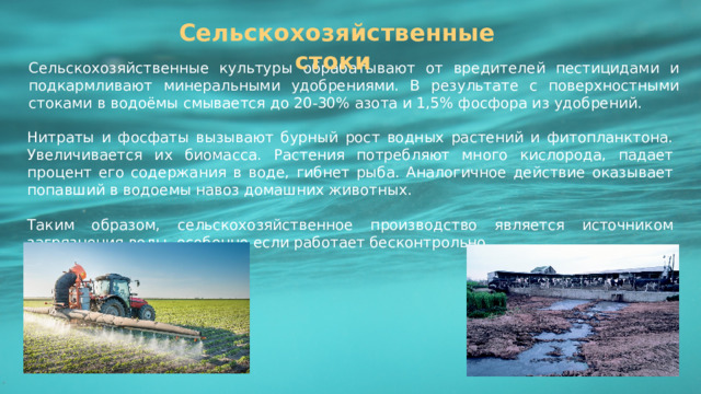 Сельскохозяйственные стоки Сельскохозяйственные культуры обрабатывают от вредителей пестицидами и подкармливают минеральными удобрениями. В результате с поверхностными стоками в водоёмы смывается до 20-30% азота и 1,5% фосфора из удобрений. Нитраты и фосфаты вызывают бурный рост водных растений и фитопланктона. Увеличивается их биомасса. Растения потребляют много кислорода, падает процент его содержания в воде, гибнет рыба. Аналогичное действие оказывает попавший в водоемы навоз домашних животных. Таким образом, сельскохозяйственное производство является источником загрязнения воды, особенно если работает бесконтрольно. 