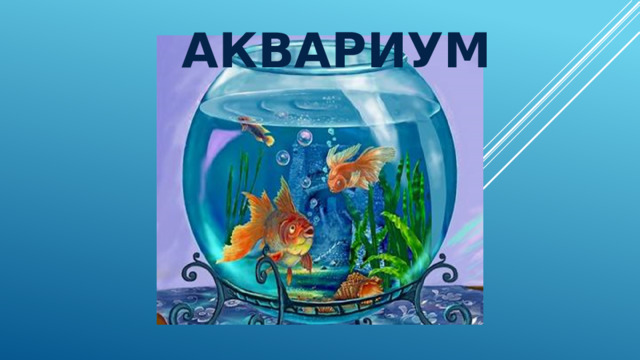 аквариум   