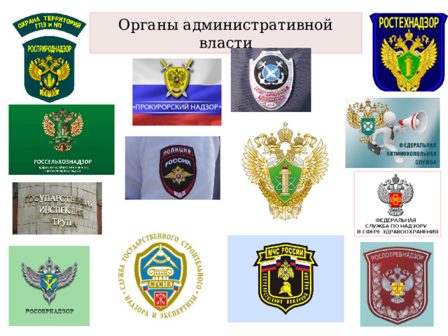 Органы административной власти 
