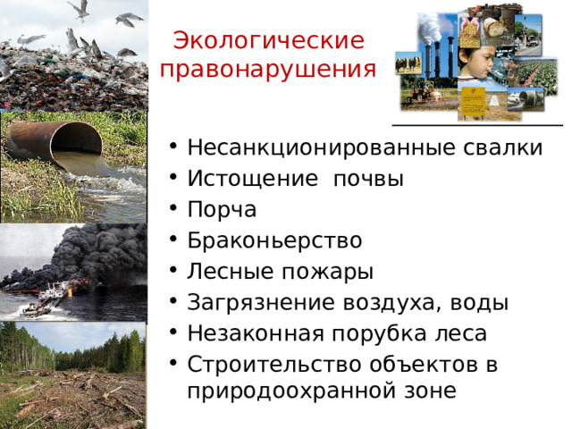 Экологические правонарушения Несанкционированные свалки Истощение почвы Порча Браконьерство Лесные пожары Загрязнение воздуха, воды Незаконная порубка леса Строительство объектов в природоохранной зоне 