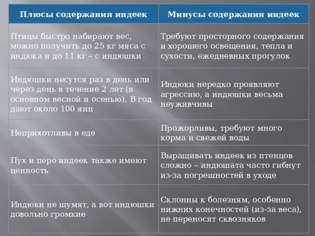 Плюсы содержания индеек Минусы содержания индеек Птицы быстро набирают вес, можно получить до 25 кг мяса с индюка и до 11 кг – с индюшки  Индюшки несутся раз в день или через день в течение 2 лет (в основном весной и осенью). В год дают около 100 яиц Требуют просторного содержания и хорошего освещения, тепла и сухости, ежедневных прогулок Неприхотливы в еде Индюки нередко проявляют агрессию, а индюшки весьма неуживчивы Прожорливы, требуют много корма и свежей воды Пух и перо индеек также имеют ценность Индюки не шумят, а вот индюшки довольно громкие Выращивать индеек из птенцов сложно – индюшата часто гибнут из-за погрешностей в уходе Склонны к болезням, особенно нижних конечностей (из-за веса), не переносят сквозняков 