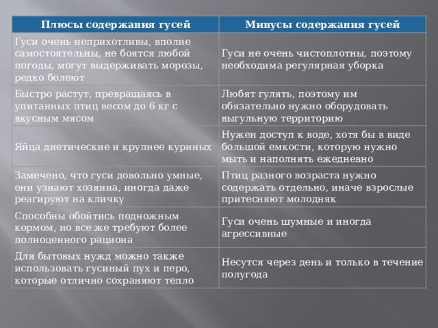 Плюсы содержания гусей Минусы содержания гусей Гуси очень неприхотливы, вполне самостоятельны, не боятся любой погоды, могут выдерживать морозы, редко болеют Гуси не очень чистоплотны, поэтому необходима регулярная уборка Быстро растут, превращаясь в упитанных птиц весом до 6 кг с вкусным мясом Любят гулять, поэтому им обязательно нужно оборудовать выгульную территорию  Яйца диетические и крупнее куриных Нужен доступ к воде, хотя бы в виде большой емкости, которую нужно мыть и наполнять ежедневно Замечено, что гуси довольно умные, они узнают хозяина, иногда даже реагируют на кличку Птиц разного возраста нужно содержать отдельно, иначе взрослые притесняют молодняк Способны обойтись подножным кормом, но все же требуют более полноценного рациона Гуси очень шумные и иногда агрессивные Для бытовых нужд можно также использовать гусиный пух и перо, которые отлично сохраняют тепло Несутся через день и только в течение полугода 
