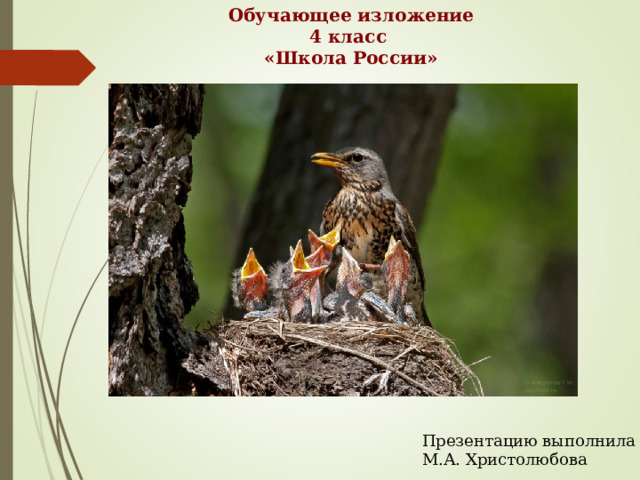 Обучающее изложение 4 класс «Школа России»  Презентацию выполнила М.А. Христолюбова 