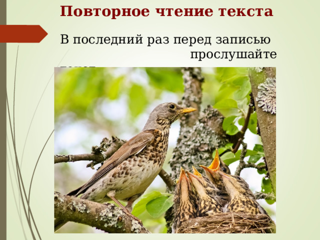 Повторное чтение текста В последний раз перед записью  прослушайте текст. 