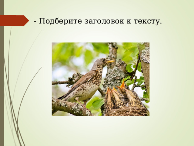 - Подберите заголовок к тексту. 