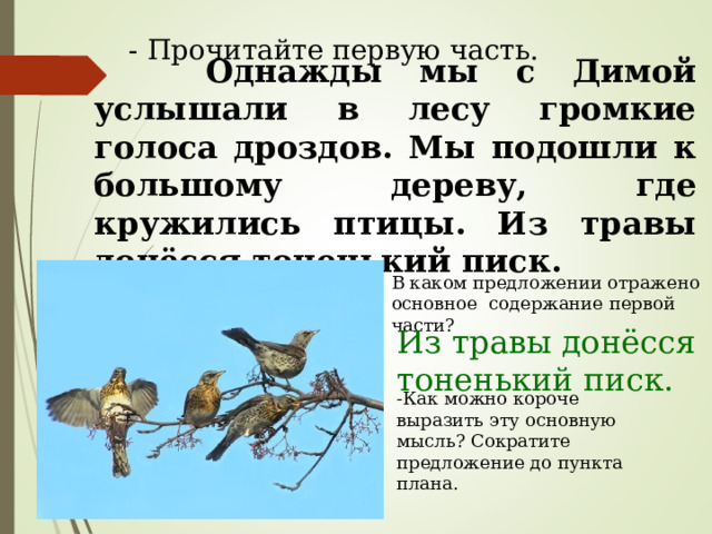- Прочитайте первую часть.  Однажды мы с Димой услышали в лесу громкие голоса дроздов. Мы подошли к большому дереву, где кружились птицы. Из травы донёсся тоненький писк. В каком предложении отражено основное содержание первой части? Из травы донёсся тоненький писк. -Как можно короче выразить эту основную мысль? Сократите предложение до пункта плана. 