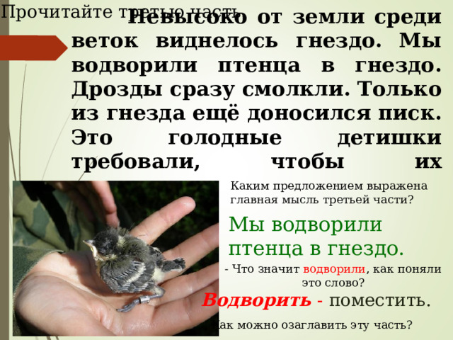Прочитайте третью часть.  Невысоко от земли среди веток виднелось гнездо. Мы водворили птенца в гнездо. Дрозды сразу смолкли. Только из гнезда ещё доносился писк. Это голодные детишки требовали, чтобы их накормили. Каким предложением выражена главная мысль третьей части? Мы водворили птенца в гнездо. - Что значит водворили ,  как поняли это слово? Водворить - поместить. Как можно озаглавить эту часть? 
