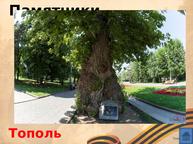 Памятники На площади Павших борцов есть исторический и природный памятник. Надпись на мемориале гласит: «Он пронес жизнь свою через битву великую». Что это за памятник? Тополь 