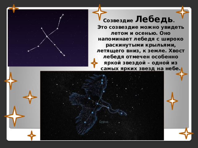 Созвездие Лебедь . Это созвездие можно увидеть летом и осенью. Оно напоминает лебедя с широко раскинутыми крыльями, летящего вниз, к земле. Хвост лебедя отмечен особенно яркой звездой – одной из самых ярких звезд на небе. 
