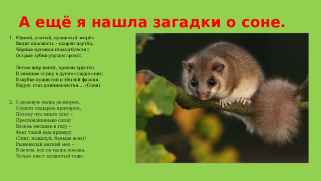 А ещё я нашла загадки о соне. Юркий, усатый, пушистый зверёк  Видит опасность – скорей наутёк,  Чёрные пуговки-глазки блестят,  Острые зубки укусом грозят.   Летом жир копит, орехом хрустит,  В зимнюю стужу в дупле сладко спит.  В шубке пушистой и тёплой фасоня,  Радует глаз длиннохвостая…. (Соня)   С домовую мышь размером,  Служит лодырям примером,  Потому что много спит –  Преспокойненько сопит  Восемь месяцев в году –  Факт такой вам приведу  (Спит, пожалуй, больше всех)!  Рыжеватый мягкий мех –  В целом, вся на мышь похожа,  Только хвост пушистый тоже. 