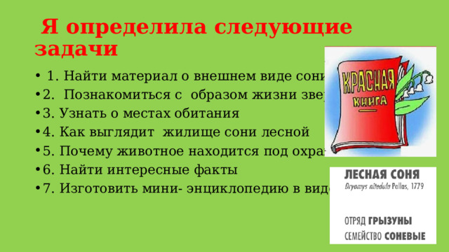  Я определила следующие задачи  1. Найти материал о внешнем виде сони лесной 2. Познакомиться с образом жизни зверька 3. Узнать о местах обитания 4. Как выглядит жилище сони лесной 5. Почему животное находится под охраной 6. Найти интересные факты 7. Изготовить мини- энциклопедию в виде лепбука 