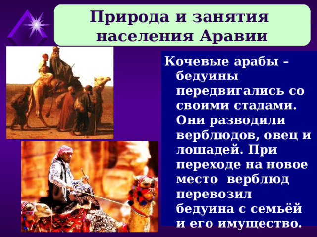 Природа и занятия населения Аравии Кочевые арабы – бедуины передвигались со своими стадами. Они разводили верблюдов, овец и лошадей. При переходе на новое место верблюд перевозил бедуина с семьёй и его имущество. 