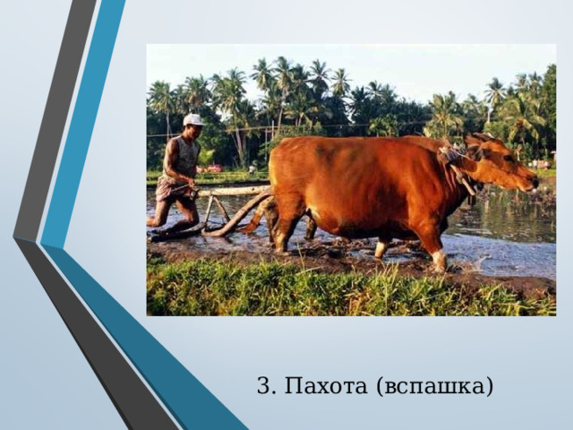 3. Пахота (вспашка) 