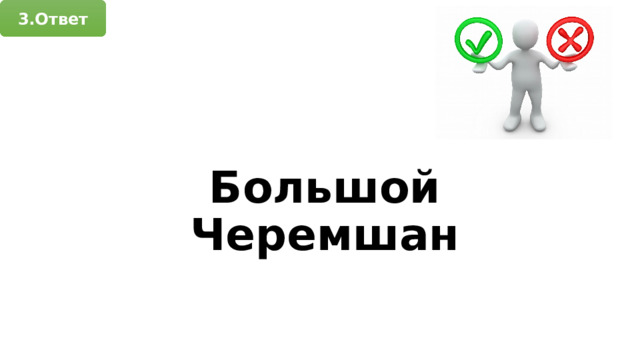 3.Ответ Большой Черемшан 