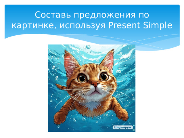Составь предложения по картинке, используя Present Simple 