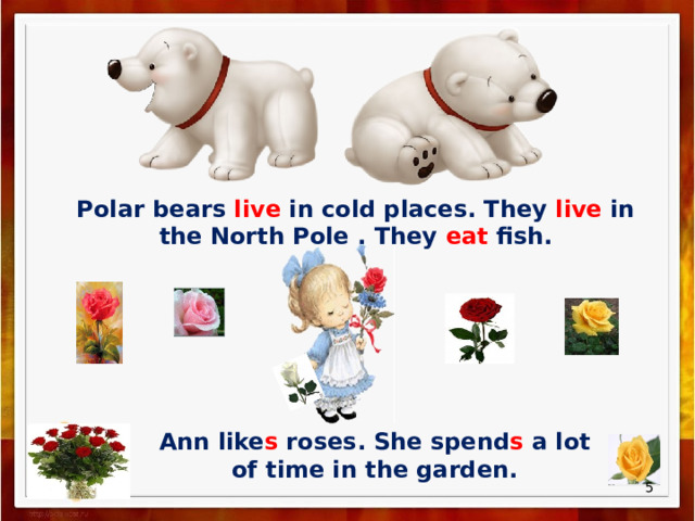 Polar bears live in cold places. They live in the North Pole . They eat fish. Ann like s roses. She spend s a lot of time in the garden.  