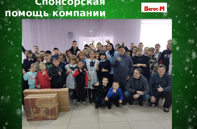  Спонсорская помощь компании 