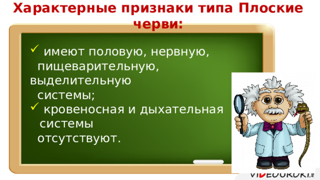 Характерные признаки типа Плоские черви:  имеют половую, нервную,  пищеварительную, выделительную  системы;  кровеносная и дыхательная системы  отсутствуют. 