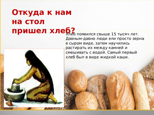 Откуда к нам на стол пришел хлеб? Хлеб появился свыше 15 тысяч лет. Давным-давно люди ели просто зерна в сыром виде, затем научились растирать их между камней и смешивать с водой. Самый первый хлеб был в виде жидкой каши. 