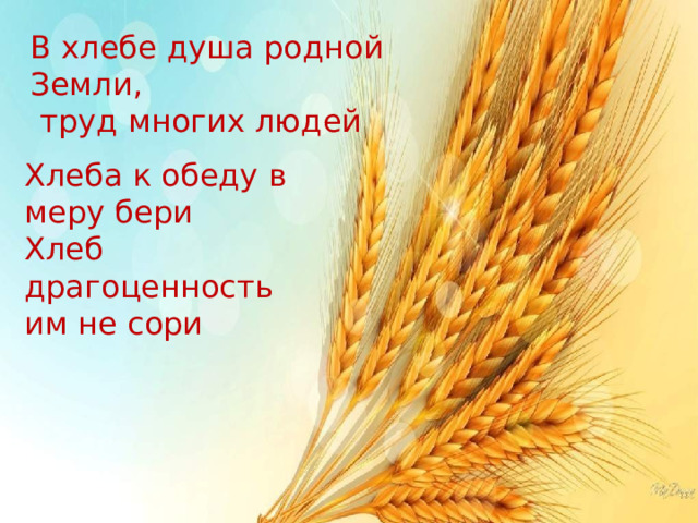 В хлебе душа родной Земли,  труд многих людей Хлеба к обеду в меру бери Хлеб драгоценность им не сори 