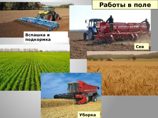 Работы в поле Вспашка и подкормка Сев Уборка 