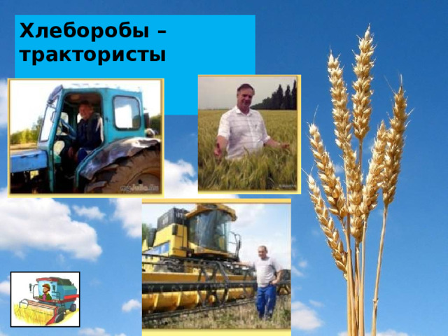 Хлеборобы – трактористы  комбайнеры 