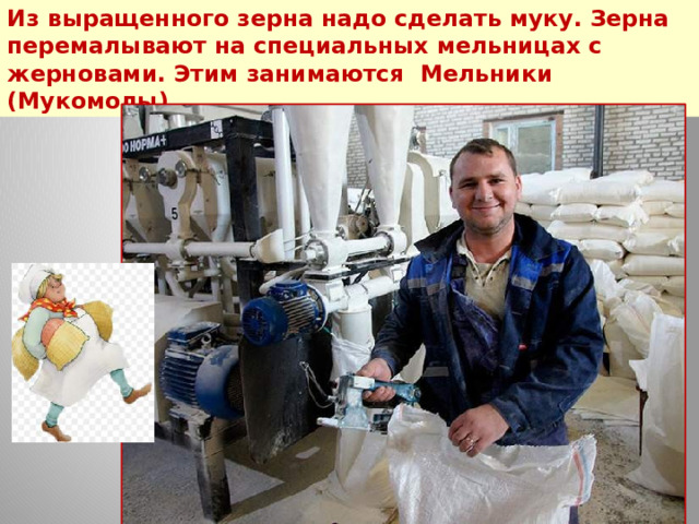 Из выращенного зерна надо сделать муку. Зерна перемалывают на специальных мельницах с жерновами. Этим занимаются Мельники (Мукомолы) 