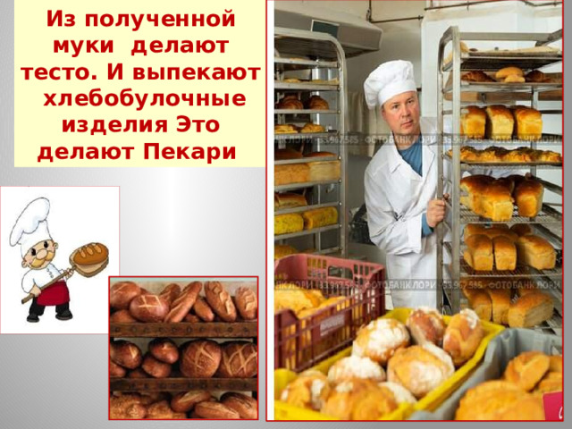 Из полученной муки делают тесто. И выпекают хлебобулочные изделия Это делают Пекари 