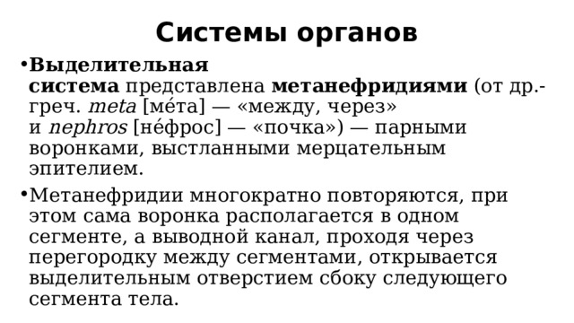 Системы органов   Выделительная система  представлена  метанефридиями  (от др.-греч.  meta  [ме́та] — «между, через» и  nephros  [не́фрос] — «почка») — парными воронками, выстланными мерцательным эпителием. Метанефридии многократно повторяются, при этом сама воронка располагается в одном сегменте, а выводной канал, проходя через перегородку между сегментами, открывается выделительным отверстием сбоку следующего сегмента тела. 