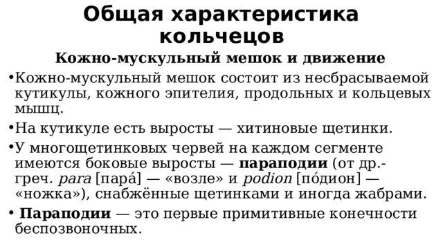 Общая характеристика кольчецов   Кожно-мускульный мешок и движение Кожно-мускульный мешок состоит из несбрасываемой кутикулы, кожного эпителия, продольных и кольцевых мышц. На кутикуле есть выросты — хитиновые щетинки. У многощетинковых червей на каждом сегменте имеются боковые выросты —  параподии  (от др.-греч.  parа  [парá] — «возле» и  pоdion  [пóдион] — «ножка»), снабжённые щетинками и иногда жабрами.  Параподии — это первые примитивные конечности беспозвоночных. 