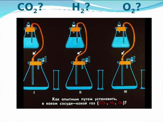 СО 2 ? Н 2 ? О 2 ? 