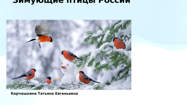  Зимующие птицы России  Корчашкина Татьяна Евгеньевна 