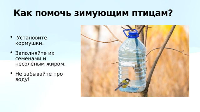  Как помочь зимующим птицам?  Установите кормушки. Заполняйте их семенами и несолёным жиром. Не забывайте про воду! 