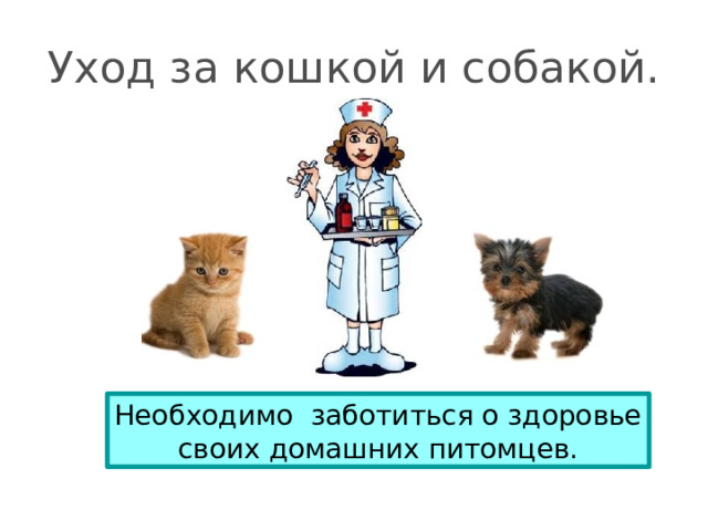 Уход за кошкой и собакой. Необходимо заботиться о здоровье своих домашних питомцев. 