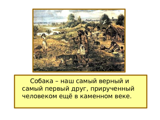   Собака – наш самый верный и самый первый друг, прирученный человеком ещё в каменном веке. 