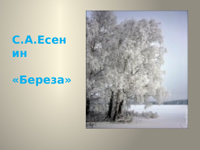 С.А.Есенин «Береза» 