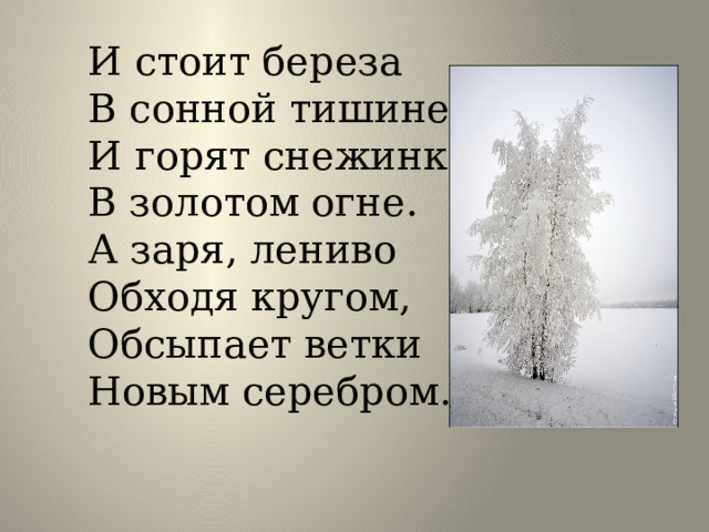И стоит береза  В сонной тишине,  И горят снежинки  В золотом огне.  А заря, лениво  Обходя кругом,  Обсыпает ветки  Новым серебром. 