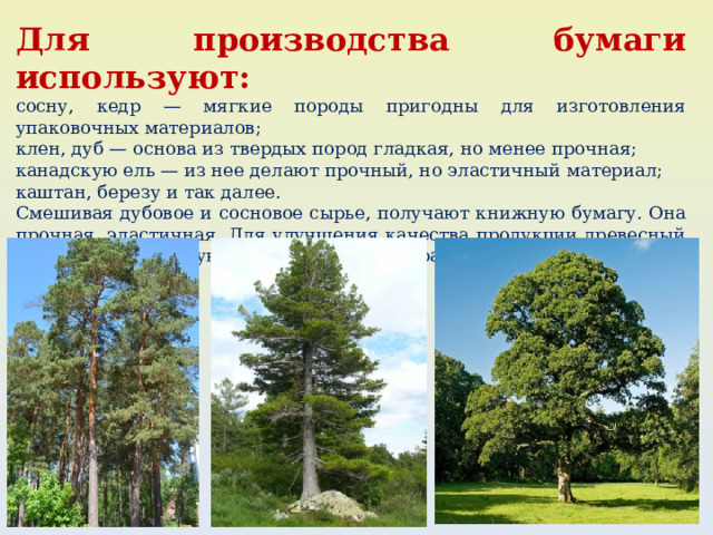 Для производства бумаги используют: сосну, кедр — мягкие породы пригодны для изготовления упаковочных материалов; клен, дуб — основа из твердых пород гладкая, но менее прочная; канадскую ель — из нее делают прочный, но эластичный материал; каштан, березу и так далее. Смешивая дубовое и сосновое сырье, получают книжную бумагу. Она прочная, эластичная. Для улучшения качества продукции древесный материал сортируют, фильтруют, обрабатывают химическими составами. 