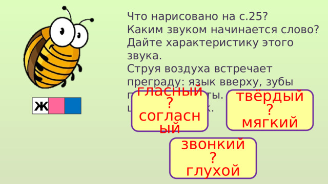 Что нарисовано на с.25? Каким звуком начинается слово? Дайте характеристику этого звука. Струя воздуха встречает преграду: язык вверху, зубы почти сомкнуты. Получается шипящий звук. твёрдый ? мягкий гласный ? согласный Ж звонкий ? глухой  