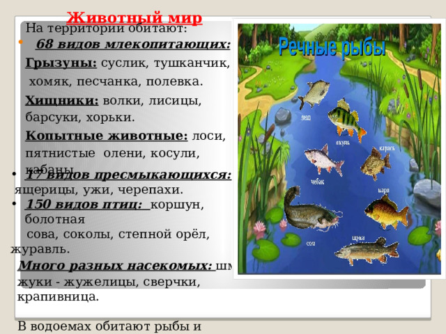 Животный мир   На территории обитают: 68 видов млекопитающих: Грызуны:  суслик, тушканчик,  хомяк, песчанка, полевка. Хищники: волки, лисицы, барсуки, хорьки. Копытные животные: лоси, пятнистые олени, косули, кабаны. 17 видов пресмыкающихся:  ящерицы, ужи, черепахи. 150 видов птиц:  коршун, болотная  сова, соколы, степной орёл, журавль. Много разных насекомых:  шмели, жуки - жужелицы, сверчки, крапивница. В водоемах обитают рыбы и земноводные. 