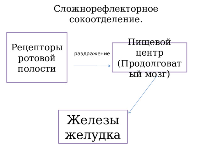 Сложнорефлекторное сокоотделение. Рецепторы ротовой полости Пищевой центр (Продолговатый мозг) Железы желудка 