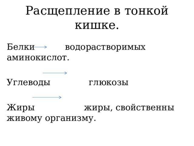 Расщепление в тонкой кишке. Белки водорастворимых аминокислот. Углеводы глюкозы Жиры жиры, свойственны живому организму. 
