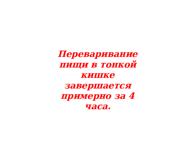 Переваривание пищи в тонкой кишке завершается примерно за 4 часа. 