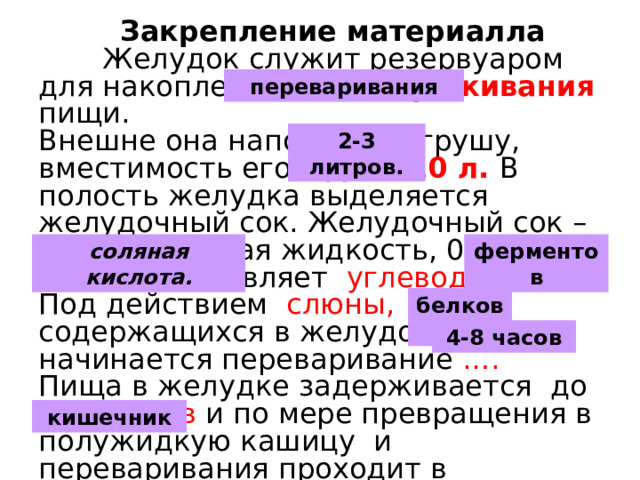  Закрепление материалла  Желудок служит резервуаром для накопления и обезвреживания пищи. Внешне она напоминает грушу, вместимость его – до 5-10 л. В полость желудка выделяется желудочный сок. Желудочный сок – это прозрачная жидкость, 0,25% объема составляет углеводы. Под действием слюны, содержащихся в желудочном соке, начинается переваривание …. Пища в желудке задерживается до 9-10 часов и по мере превращения в полужидкую кашицу и переваривания проходит в пищевод. . переваривания 2-3 литров. соляная кислота. ферментов белков. 4-8 часов кишечник 