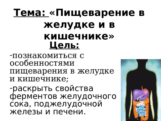 Тема: «Пищеварение в желудке и в кишечнике» Цель: познакомиться с особенностями пищеварения в желудке и кишечнике; раскрыть свойства ферментов желудочного сока, поджелудочной железы и печени. 