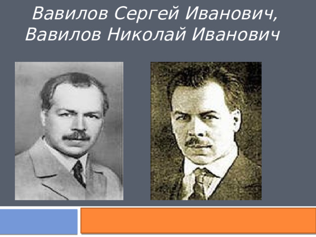 Вавилов Сергей Иванович, Вавилов Николай Иванович  