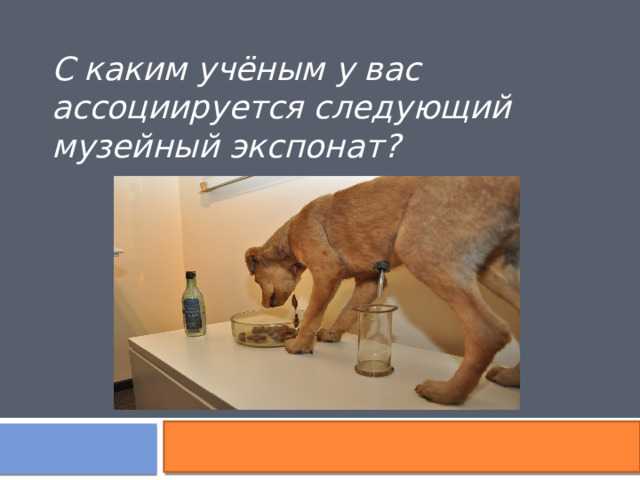 С каким учёным у вас ассоциируется следующий музейный экспонат? 