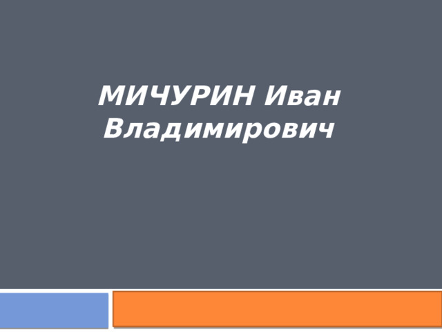 МИЧУРИН Иван Владимирович 