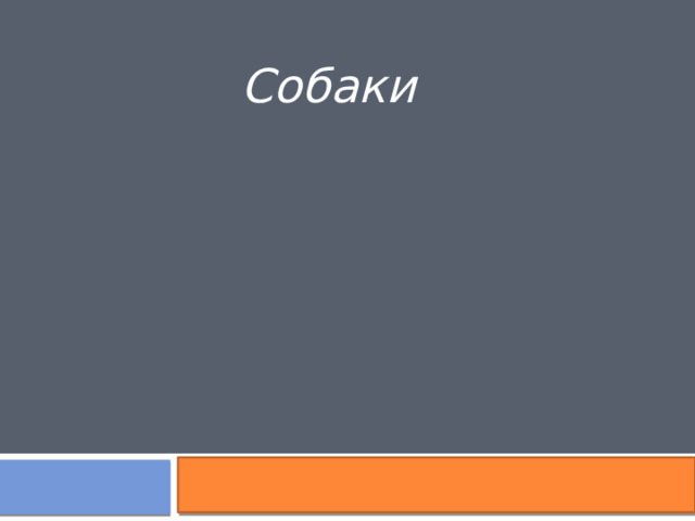 Собаки 